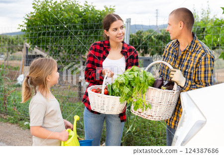 Family loading baskets of vegetables into trunk of a car Family loading baskets of vegetables into trunk of a car 124387686