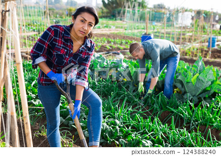 Hispanic female gardener digging vegetable beds in home garden Hispanic female gardener digging vegetable beds in home garden 124388240