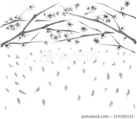 Monochrome illustration of falling cherry blossoms 124389152