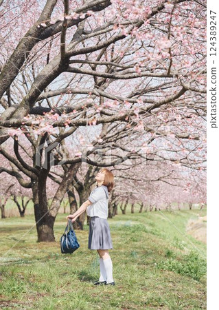 櫻花下的女高中生 124389247