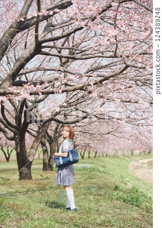 櫻花下的女高中生 櫻花下的女高中生 124389248
