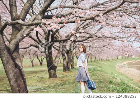 櫻花下的女高中生 櫻花下的女高中生 124389252