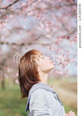 High school girl under the cherry blossoms High school girl under the cherry blossoms 124389349