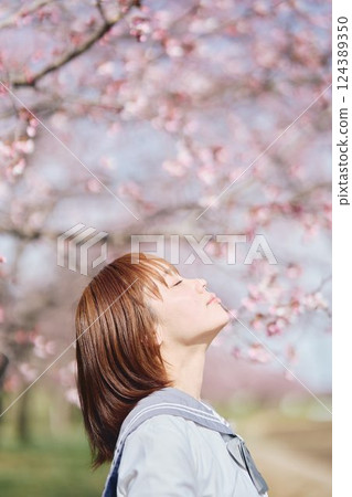 櫻花下的女高中生 櫻花下的女高中生 124389350