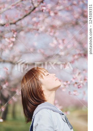 High school girl under the cherry blossoms High school girl under the cherry blossoms 124389351