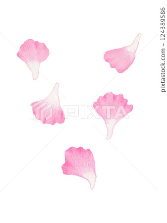 Hand-drawn illustration of carnation petal. Hand-drawn illustration of carnation petal. 124389586