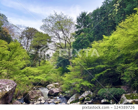A valley that shines in the fresh green A valley that shines in the fresh green 124389726