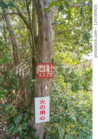 三上山（近江富士）山頂 124389920