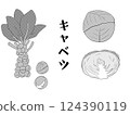 捲心菜 124390119