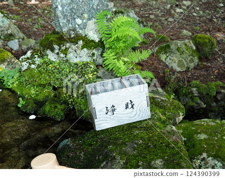 Offering box and dragonfly Offering box and dragonfly 124390399