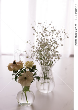 Ranunculus and Gypsophila Ranunculus and Gypsophila 124390435