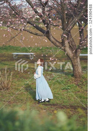 櫻花和一個年輕女子 124390488