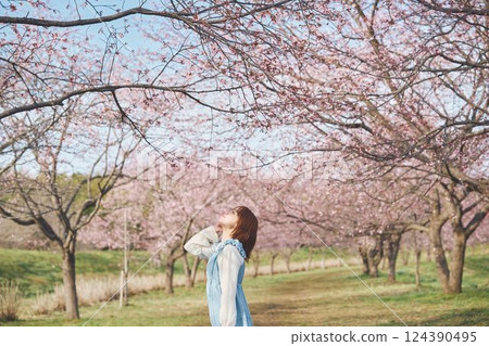 櫻花和一個年輕女子 櫻花和一個年輕女子 124390495