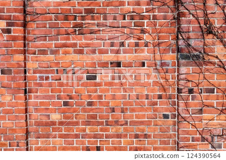 舊磚牆上生長的死常春藤 舊磚牆上生長的死常春藤 124390564