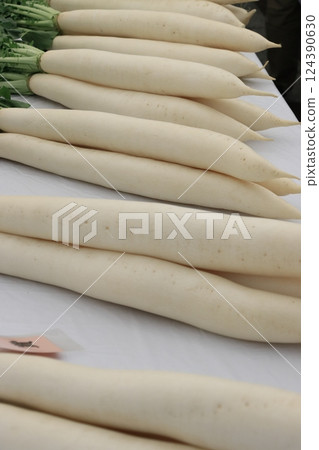 Nerima radish Pure white Nerima radish 124390630