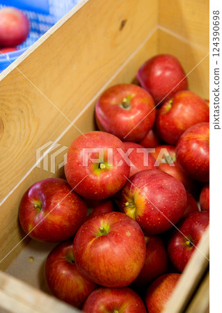 蘋果農場 16 蘋果農場 16 124390698