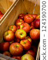 Apple Farm 17 124390700