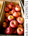 Apple Farm 18 124390701