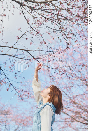 抬頭看著櫻花的年輕女子 抬頭看著櫻花的年輕女子 124390852