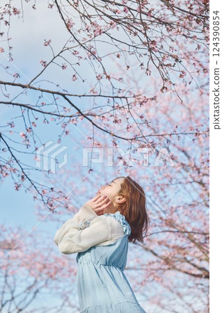 抬頭看著櫻花的年輕女子 124390854
