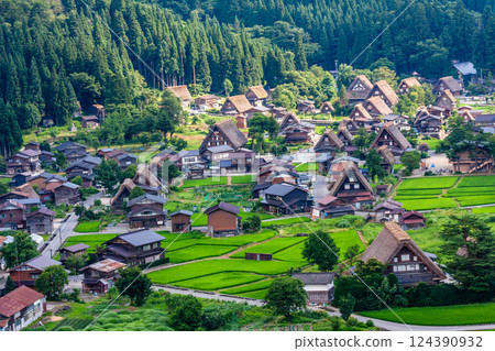 World Heritage Shirakawa Village (Shirakawa-go) Early summer rural scenery and Gassho-style houses from the observation deck July 124390932