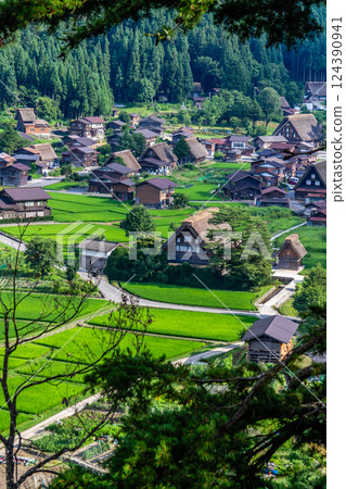 World Heritage Shirakawa Village (Shirakawa-go) Early summer rural scenery and Gassho-style houses from the observation deck July World Heritage Shirakawa Village (Shirakawa-go) Early summer rural scenery and Gassho-style houses from the observation deck July 124390941