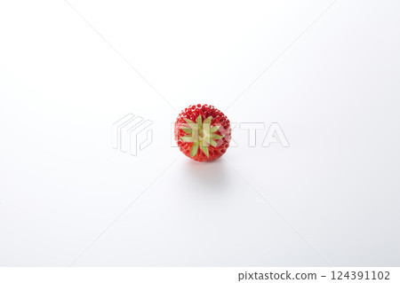 Ibaraki strawberry Benihoppe Ibaraki strawberry Benihoppe 124391102