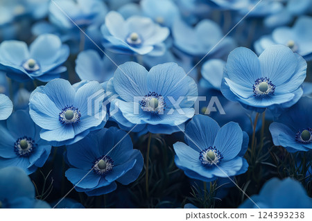 Close-up of blue flowers and the beauty of nature 124393238