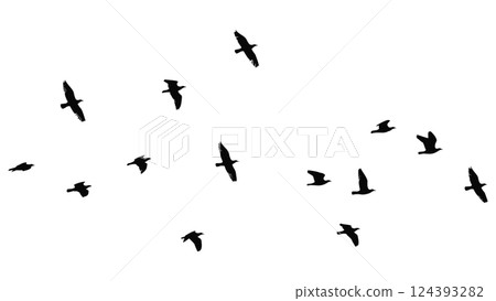 一群飛鳥的輪廓向量插圖 124393282