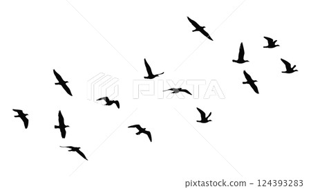 一群飛鳥的輪廓向量插圖 124393283