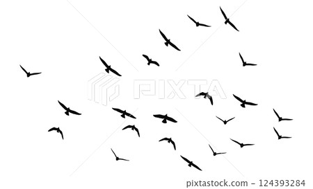 一群飛鳥的輪廓向量插圖 124393284