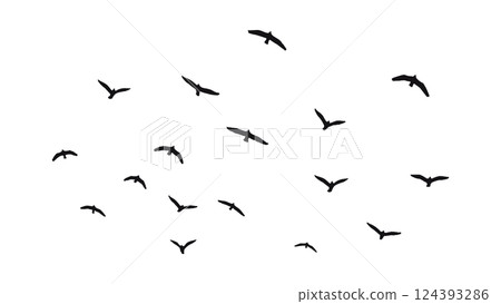 一群飛鳥的輪廓向量插圖 一群飛鳥的輪廓向量插圖 124393286