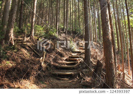 Stairs on a mountain trail Stairs on a mountain trail 124393397