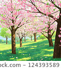 Cherry blossom trees in full bloom and spring sunlight 124393589