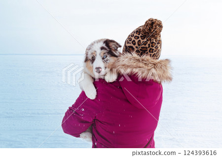 Woman holds in her arms little Cute Aussie puppy in blue marble color and different eye color. Photo back view, snow landscape 124393616