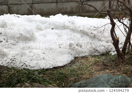 解凍, 餘雪, 雪, 春, 草, 戶外, 大自然, 降雪, 綠色, 冬天 124394279