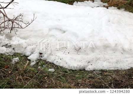 解凍, 餘雪, 雪, 春, 草, 戶外, 大自然, 降雪, 綠色, 冬天 124394280