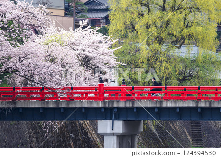 220413 Nakahashi Sakura g019 124394530