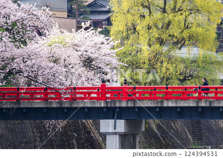 220413 Nakahashi Sakura g026 124394531