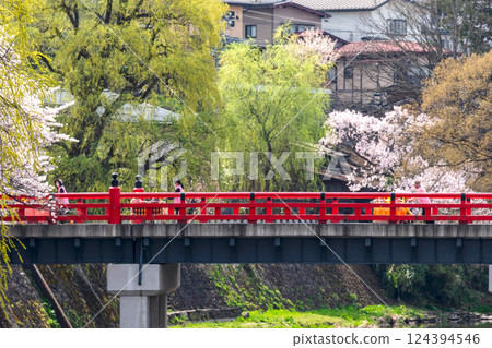 220413 中橋櫻 g193 124394546