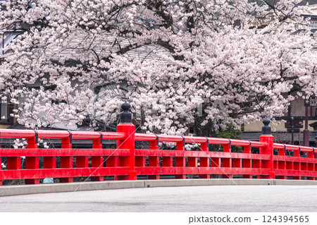 220413 Nakahashi Sakura g357 124394565