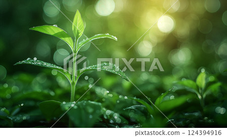 Soft Focus Palm Leaves in Sunlight. Generative AI 124394916