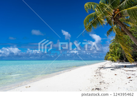 Idyllic white sand beach with coconut trees in Maupiti, French Polynesia Idyllic white sand beach with coconut trees in Maupiti, French Polynesia 124395462