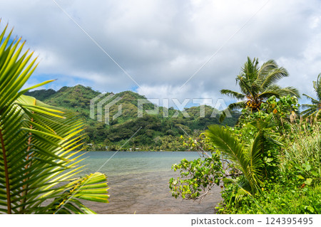 Coastline and Mountains on Tahaa Island, French Polynesia 124395495