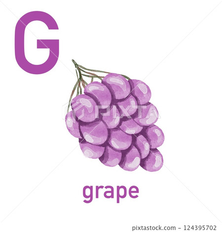 Watercolor English alphabet made of cute fruits and vegetables. Watercolor illustration of food. Vegetarian alphabet. Back to school. Grape Watercolor English alphabet made of cute fruits and vegetables. Watercolor illustration of food. Vegetarian alphabet. Back to school. Grape 124395702