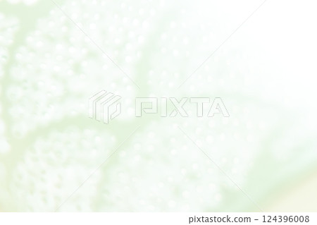 淡綠色簡單抽象的背景材料 124396008