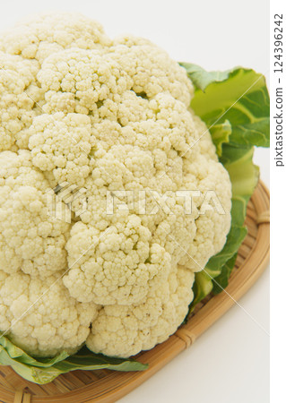 菜花 菜花 124396242