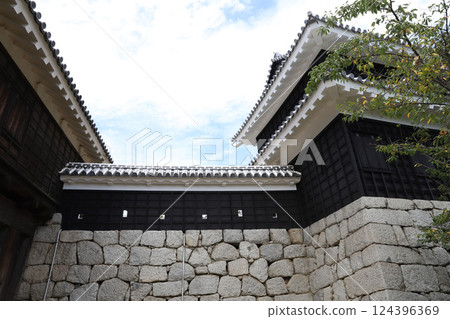 愛媛縣松山城 愛媛縣松山城 124396369