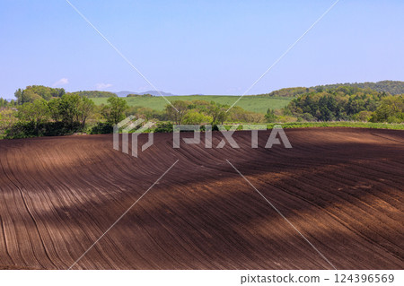 Abira Town, Hokkaido: Field ridges spreading across the hills [May] 124396569