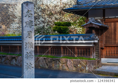 月瀨梅溪,梅花與石碑,奈良縣 月瀨梅溪,梅花與石碑,奈良縣 124398341